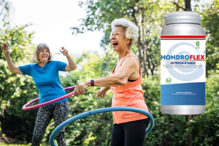 hondroflex precio chile