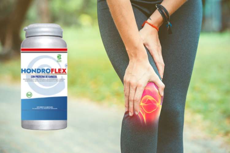 hondroflex que es para que sirve